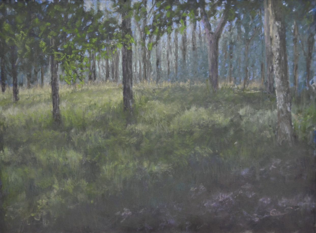 Whispering Grasses - Pastel on Panel - 22,5x30,5cm